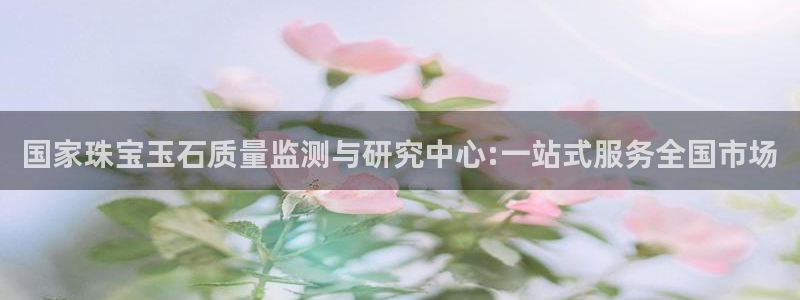 天宏娱乐团队