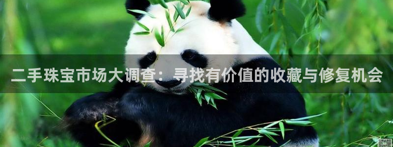 内蒙古天宏娱乐