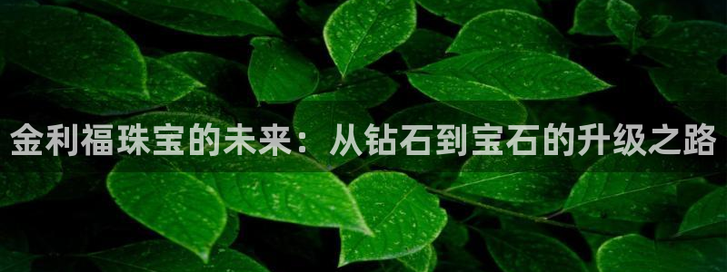 天宏娱乐主管