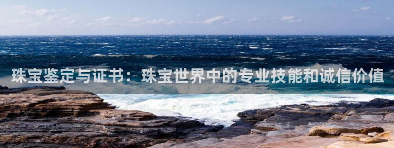 天宏娱乐大叔团成员