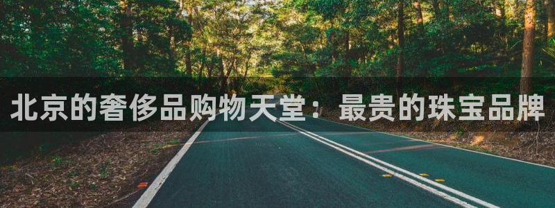 天宏娱乐金大叔