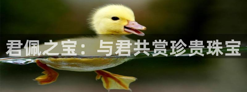 天宏娱乐运营29229