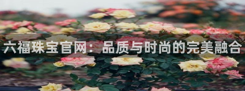 西安天宏娱乐直播间