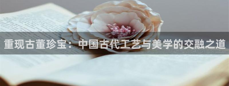 天宏娱乐大叔团队介绍视频