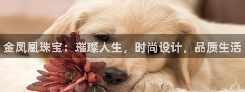 金叔直播天宏娱乐直播