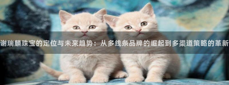 天宏娱乐小号怎么玩