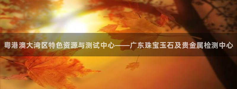 天宏娱乐传媒
