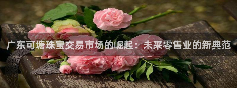 天宏娱乐a 判官