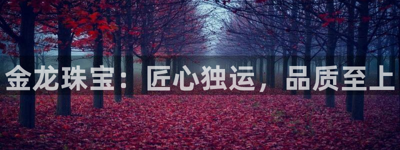 天宏娱乐大叔团唱歌：金龙珠宝：匠心独运，品质至上