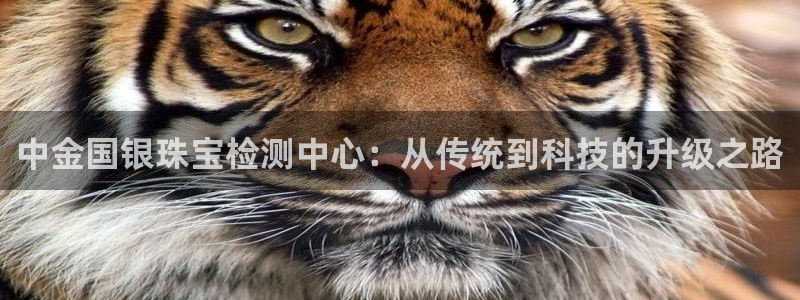 天宏娱乐是什么