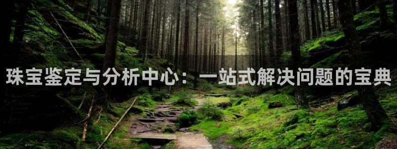 天宏娱乐场所：珠宝鉴定与分析中心：一站式解决问题的宝典