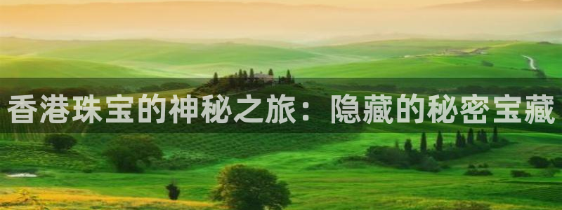 天宏娱乐福叔：香港珠宝的神秘之旅：隐藏的秘密宝藏