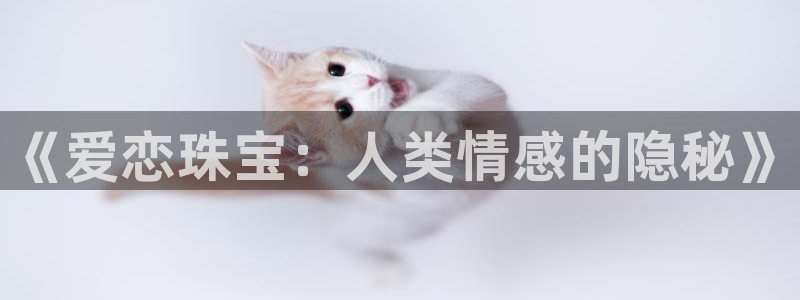 天宏娱乐团购活动：《爱恋珠宝：人类情感的隐秘》