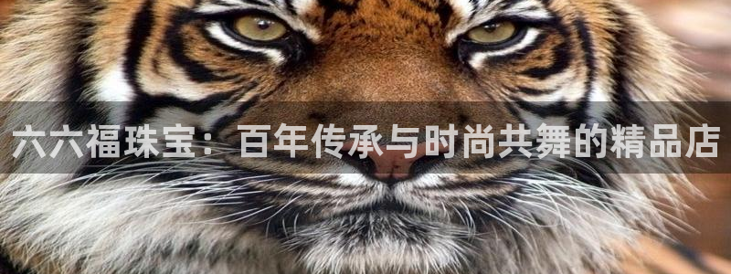 天宏娱乐关叔：六六福珠宝：百年传承与时尚共舞的精品店