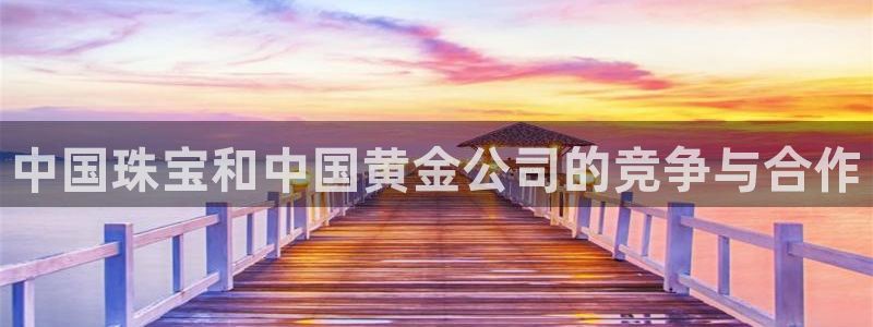 天宏娱乐小刘