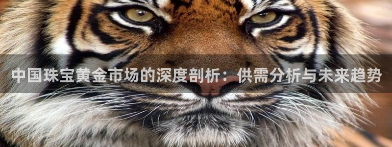 天宏娱乐·b主管管32937