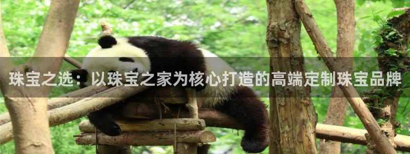 天宏娱乐宝叔是谁：珠宝之选：以珠宝之家为核心打造的高端定制珠