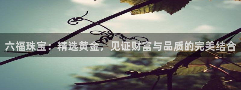 天宏娱乐董事长简介