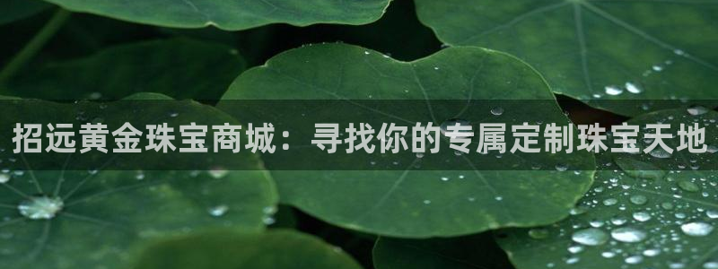天宏娱乐招商：招远黄金珠宝商城：寻找你的专属定制珠宝天地