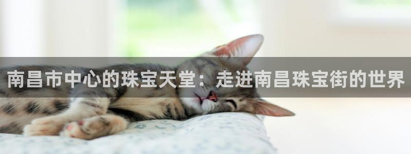 天宏娱乐招商部电话
