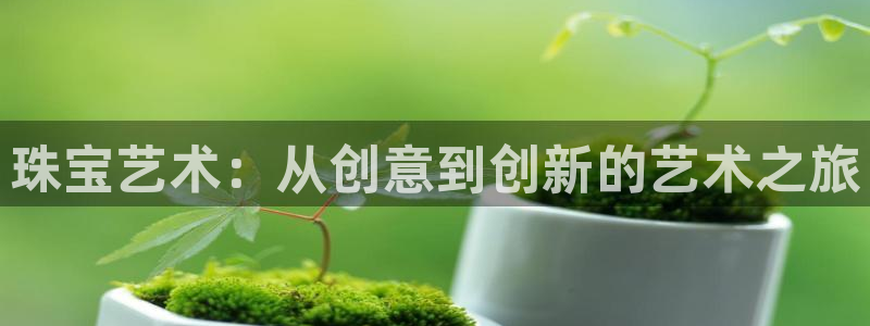 天宏娱乐倒闭了吗：珠宝艺术：从创意到创新的艺术之旅