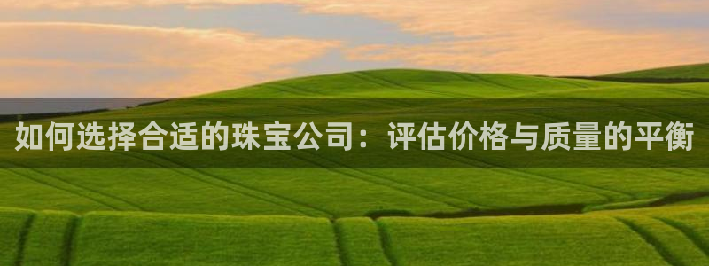 天宏娱乐直播团队介绍