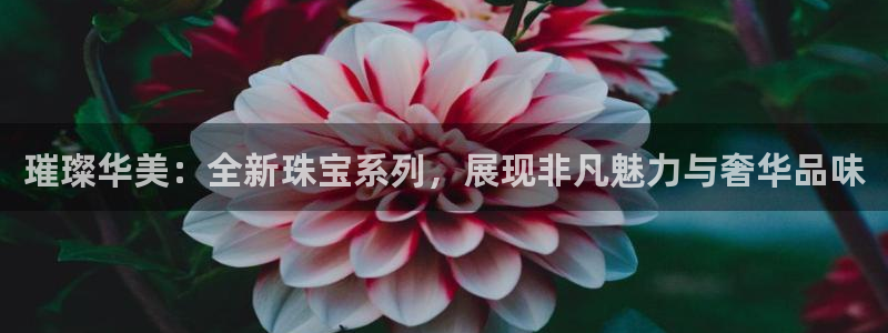 天宏集团黑骑士娱乐：璀璨华美：全新珠宝系列，展现非凡魅力与奢