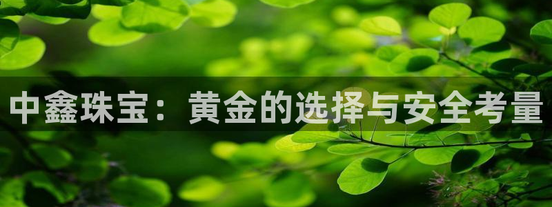 天宏娱乐怎么改号了