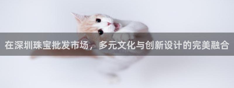 天宏娱乐旗下的网红