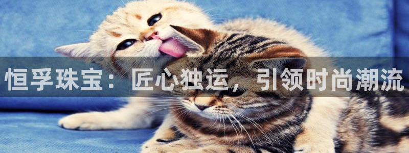 天宏娱乐老板