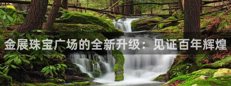 天宏娱乐晨叔