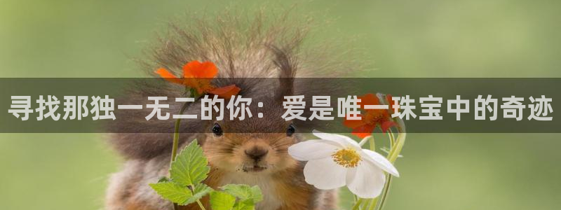 东莞天宏娱乐