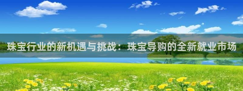 天宏娱乐中意hfqjwl下拉：珠宝行业的新机遇与挑战：珠宝导