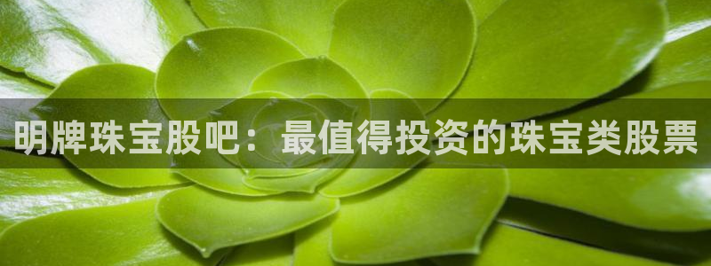 天宏娱乐是国企吗：明牌珠宝股吧：最值得投资的珠宝类股票