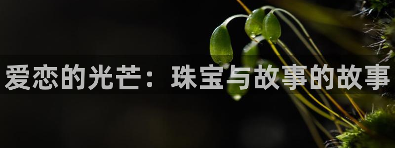 西安天宏娱乐团在哪