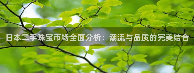 天宏娱乐是什么