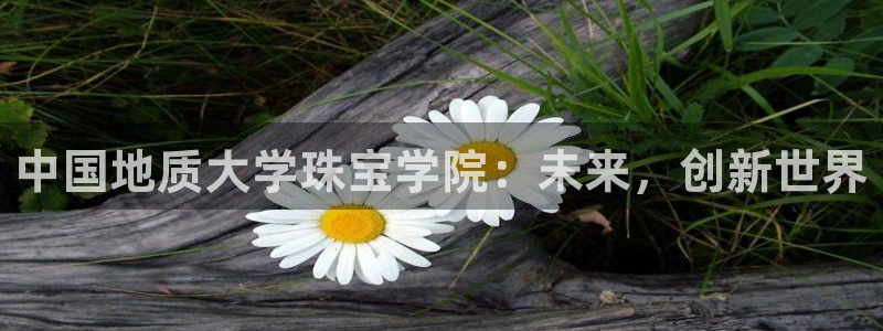 成都天宏娱乐会所地址
