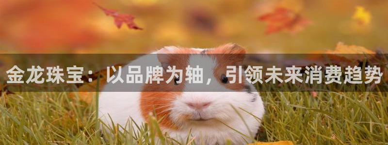 天宏娱乐韩叔抖音