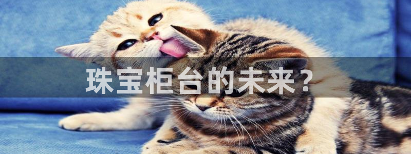 天宏娱乐张叔