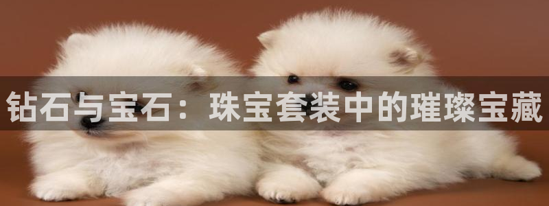 天宏娱乐传媒岳阳