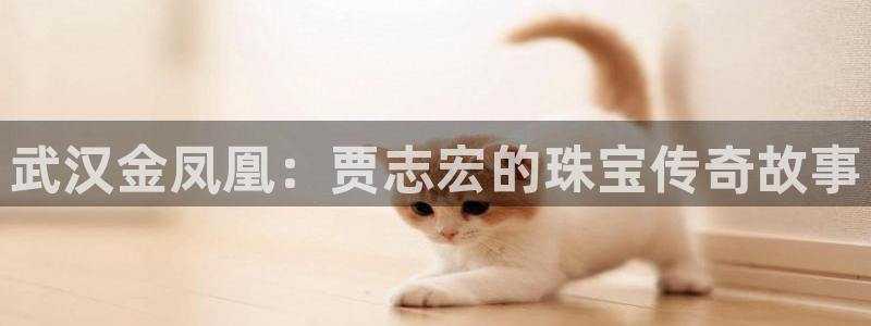 天宏娱乐岁月悠然