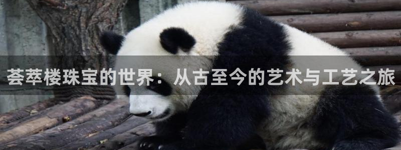 天宏娱乐秦叔的大哥：荟萃楼珠宝的世界：从古至今的艺术与工艺之
