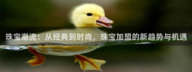 天宏娱乐官网平台注册：珠宝潮流：从经典到时尚，珠宝加盟的新趋