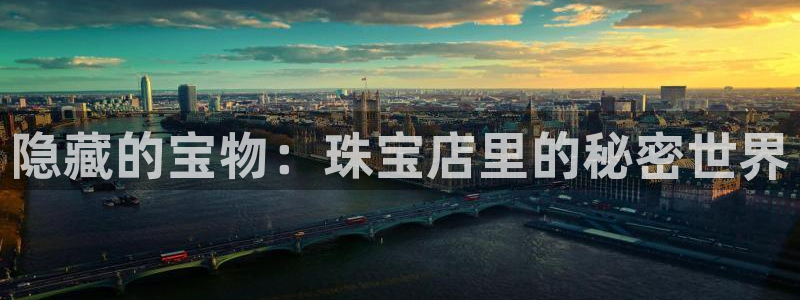 天宏娱乐i OO判官：隐藏的宝物：珠宝店里的秘密世界
