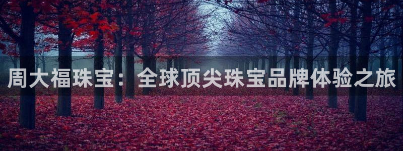 天宏娱乐公会