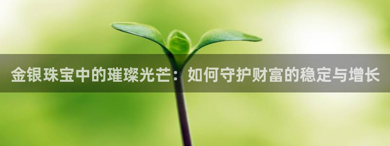 天宏娱乐秦叔老婆：金银珠宝中的璀璨光芒：如何守护财富的稳定与