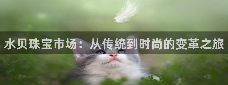 天宏娱乐代理：水贝珠宝市场：从传统到时尚的变革之旅