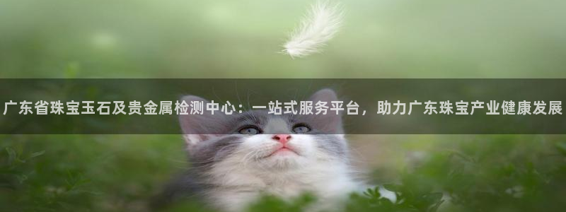 天宏娱乐杨叔：广东省珠宝玉石及贵金属检测中心：一站式服务平台