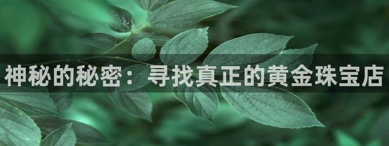 天宏娱乐天宏娱禾：神秘的秘密：寻找真正的黄金珠宝店