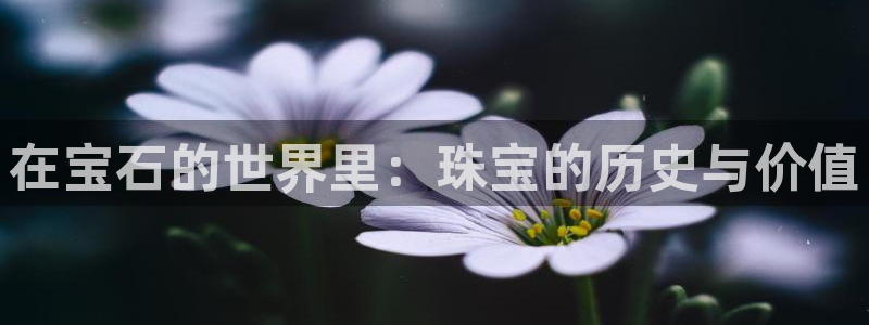 西安天宏娱乐团队